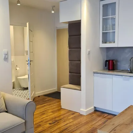 Wygodny Apartament W Centrum